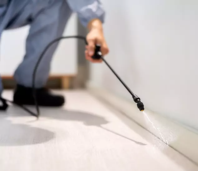 About Our Liquid Termite Treatment Experts in Marietta, GA