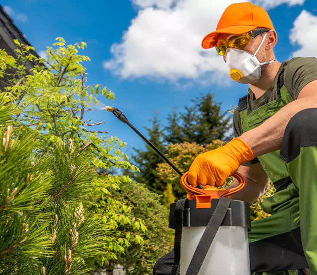 Your Mosquito Repellent Barrier Service in Marietta, GA