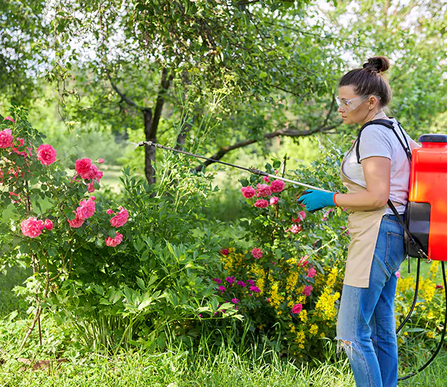 Your Trusted Mosquito Exterminator in Marietta, GA