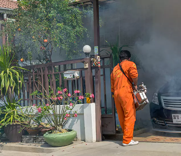 Your Proven Mosquito Fogging Company in Marietta, GA