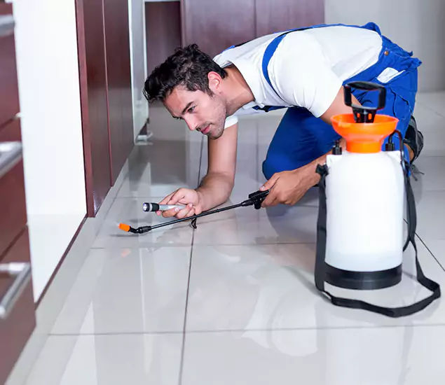 Reliable Professional Mouse Removal: Your Best Mouse Control Company in Marietta, GA