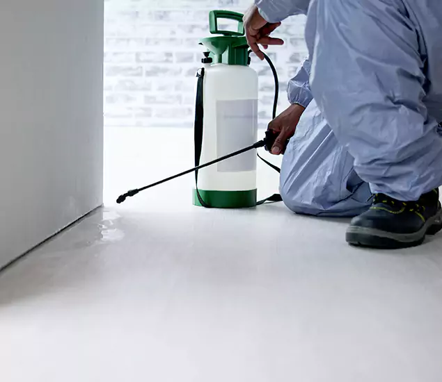 Affordable Pest Control Experts in Marietta, GA
