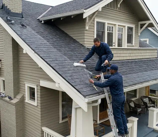 Your Pigeon Control Experts in Marietta, GA