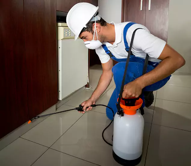 Advanced Termite Pre Treatment Experts in Marietta, GA