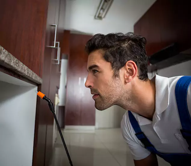 Expert Rodent in Attic Removal: Your Proven Pest Specialists in Marietta, GA