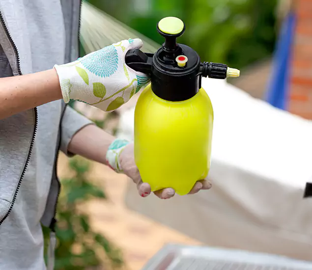 Skilled Residential Small Black Ant Service in Marietta, GA