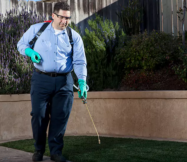 Reliable Termite Barrier Treatment Experts in Marietta, GA