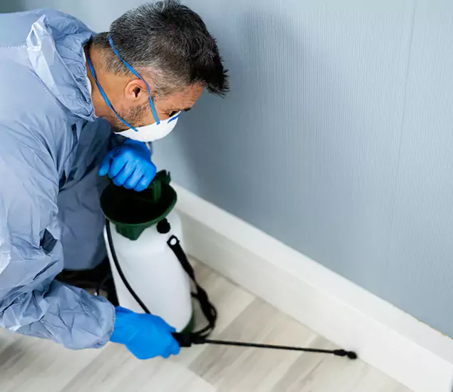 Reliable Termite Cost Experts in Marietta, GA