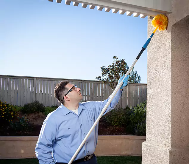 Your Trusted Wasp Removal Company in Marietta, GA