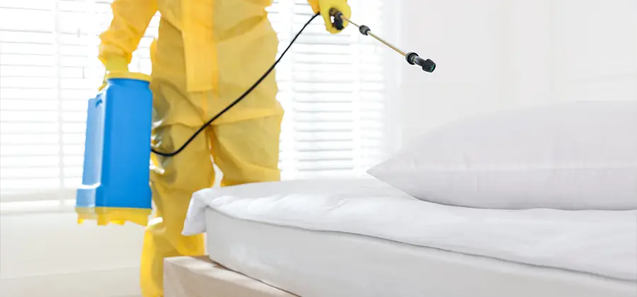 Targeted Chemical Application in Marietta
