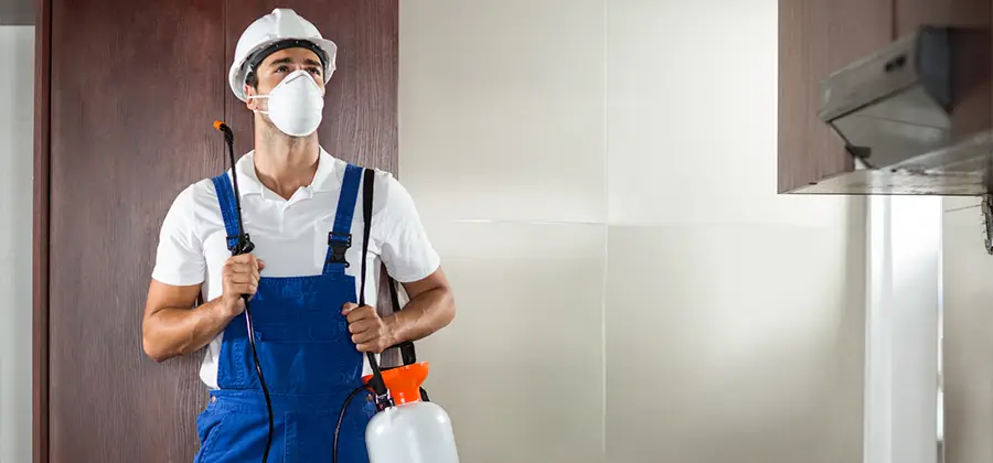 Per Room Bed Bug Cost in Marietta