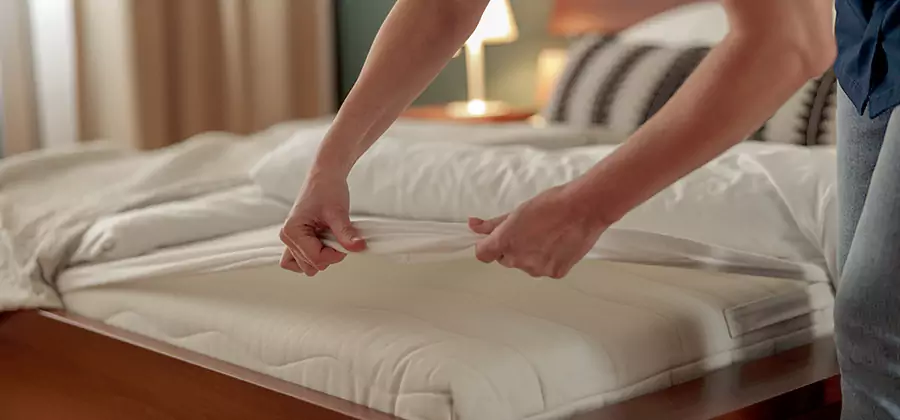 Bed Bug Extermination Services in Marietta
