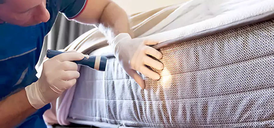Residential Bed Bug Treatment Cost in Marietta