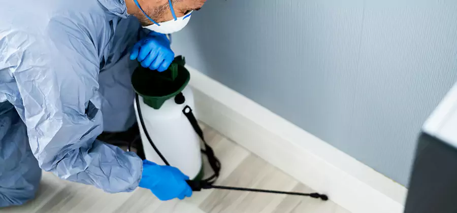Fumigate Apartment Roaches in Marietta
