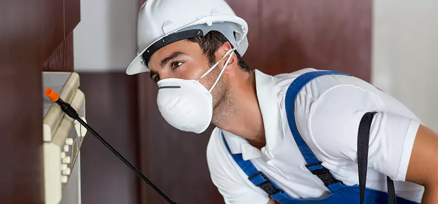 Injection Foam Treatment for Drywood Termites in Marietta