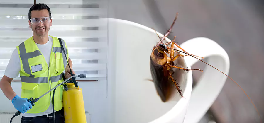 German Roach Infestation Treatment Marietta
