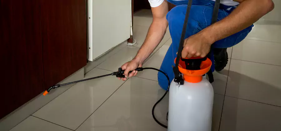Indoor Mosquito Treatment in Marietta
