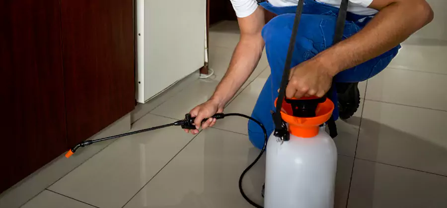 Indoor Insect Killer Solutions in Marietta