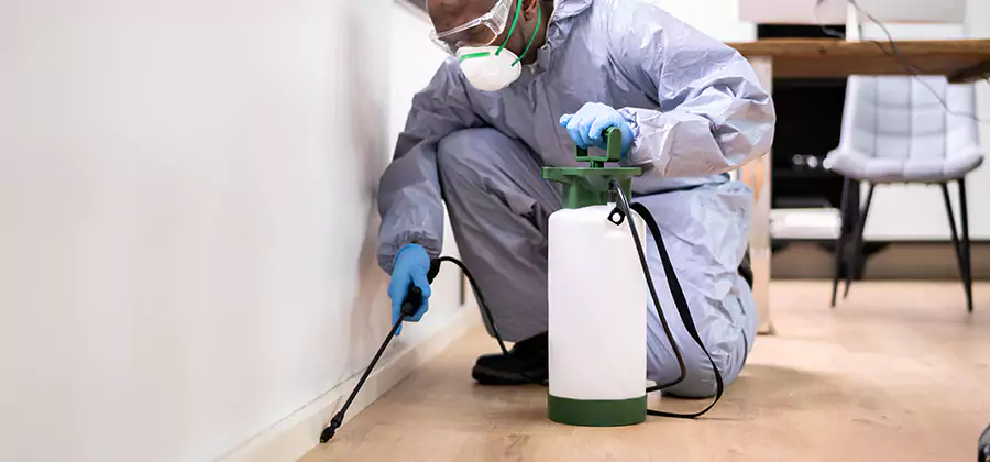 Long Lasting Mosquito Treatment in Marietta