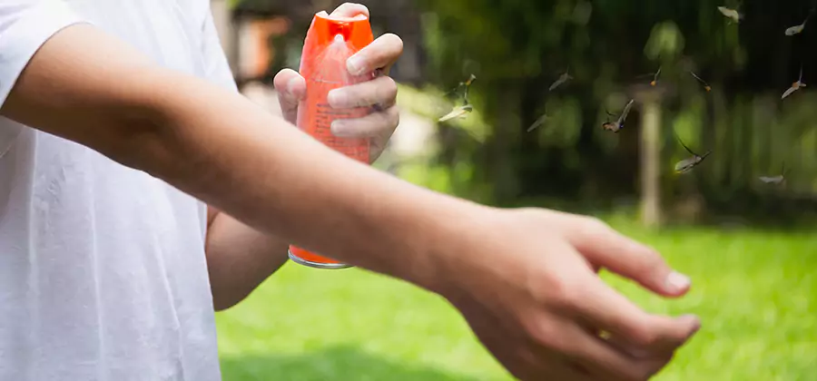 Mosquito and Tick Control Services in Marietta