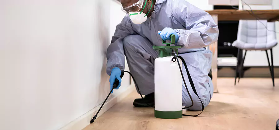 No Tent Termite Extermination With Electric Tool in Marietta