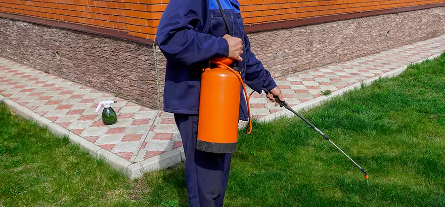 Non Toxic Termite Treatment in Marietta