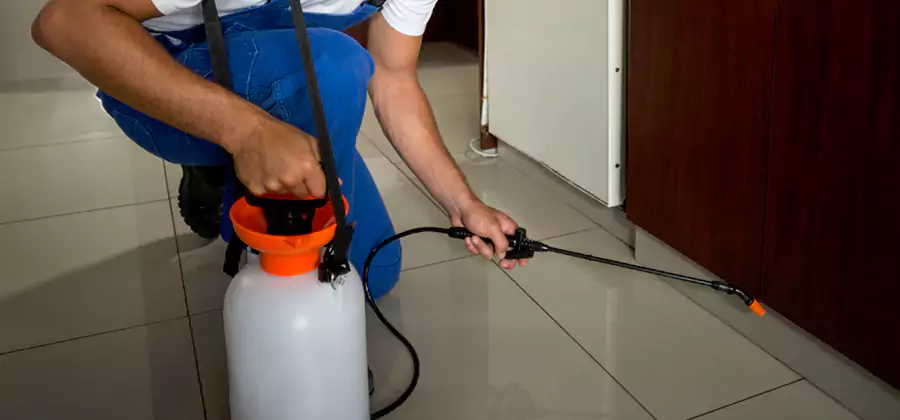 One Time Termite Control in Marietta