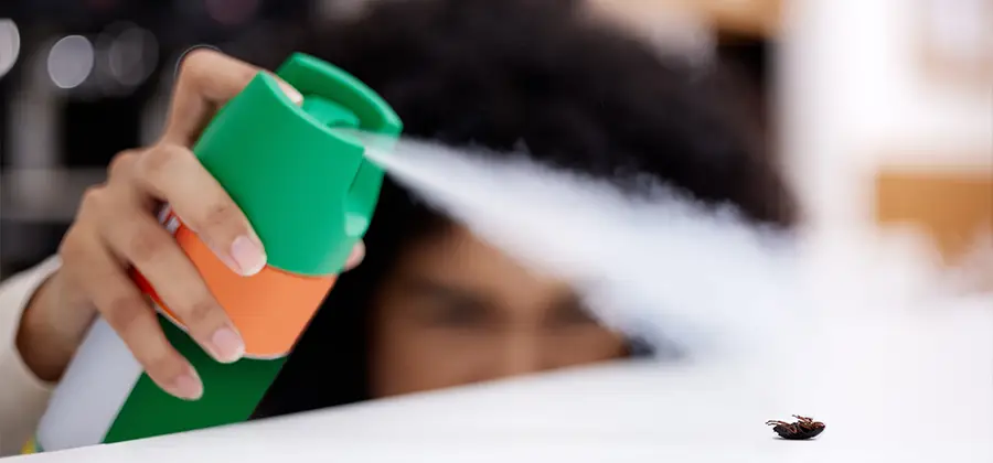 Child Safe Bed Bug Treatment in Marietta