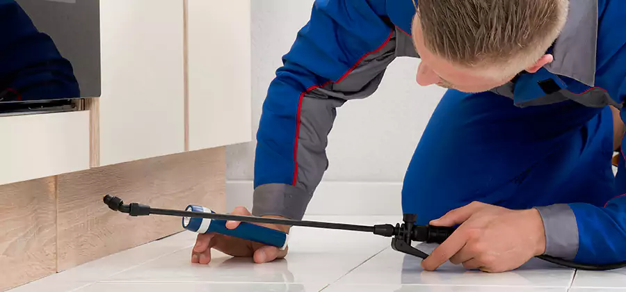 Moisture Treatment For Termite Control Service in Marietta