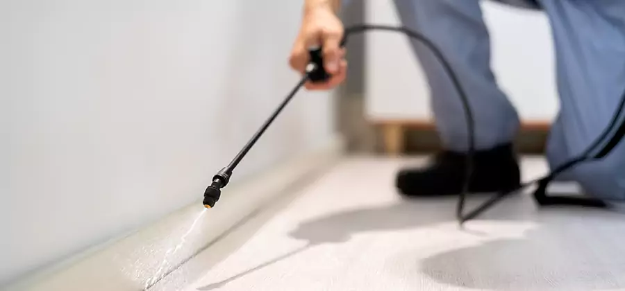Direct Termite Injection Treatment in Marietta