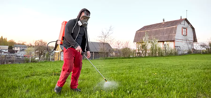 Flea and Tick Pest Control in Marietta