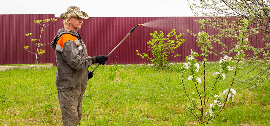 Flea and Tick Spray for Yard in Marietta