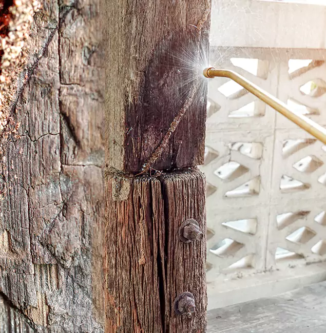 Why Choose Marietta Pest Control Inc for Attic Termite Treatment in Marietta, GA?