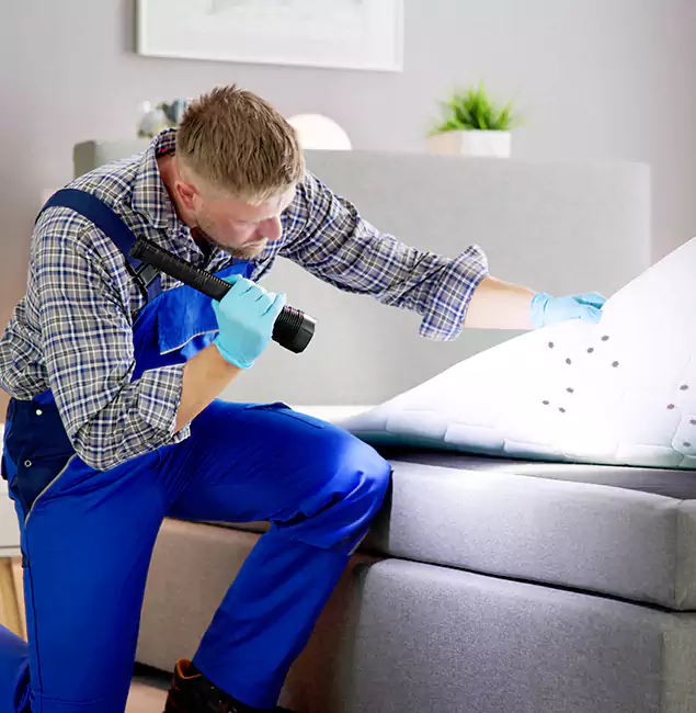 Why Choose Marietta Pest Control Inc For Bed Bug Heat Treatment in Marietta, GA?