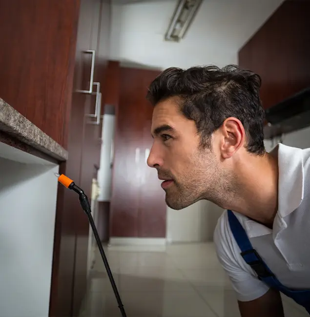 Why Choose Marietta Pest Control Inc for Bed Bug Removal Cost in Marietta, GA?