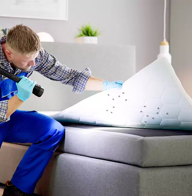 Why Choose Marietta Pest Control Inc in Marietta, GA?