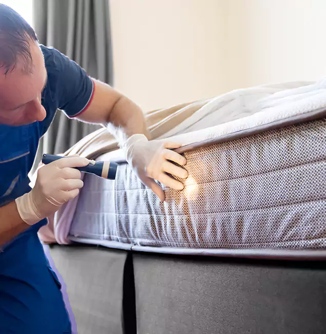 Why Choose Marietta Pest Control Inc for Bed Bug Services in Marietta, GA?