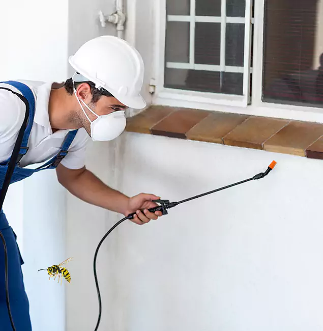Why Marietta Property Owners Choose Marietta Pest Control Inc for Bee Nest Removal?