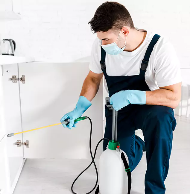 Why Choose Marietta Pest Control Inc for Emergency Pest Control in Marietta?
