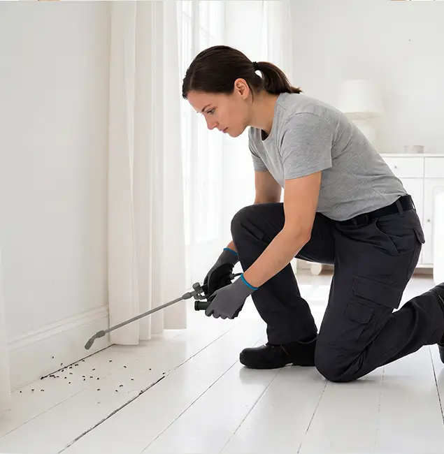 Why Marietta, GA Property Owners Trust Marietta Pest Control Inc for Fire Ant Control?