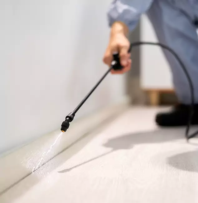Why Choose Marietta Pest Control Inc for Termite Treatment in Marietta, GA?