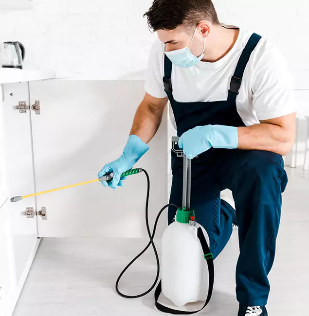 Why Choose Marietta Pest Control Inc for Indoor Pest Control in Marietta, GA?