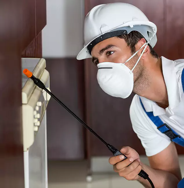 Why Marietta Homeowners Rely on Marietta Pest Control Inc for Tick Treatment?
