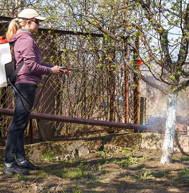 Why Marietta Homeowners Choose Marietta Pest Control Inc for Mosquito Abatement?