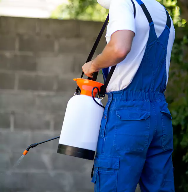 Why Marietta Homeowners Rely on Marietta Pest Control Inc for Mosquito Control?