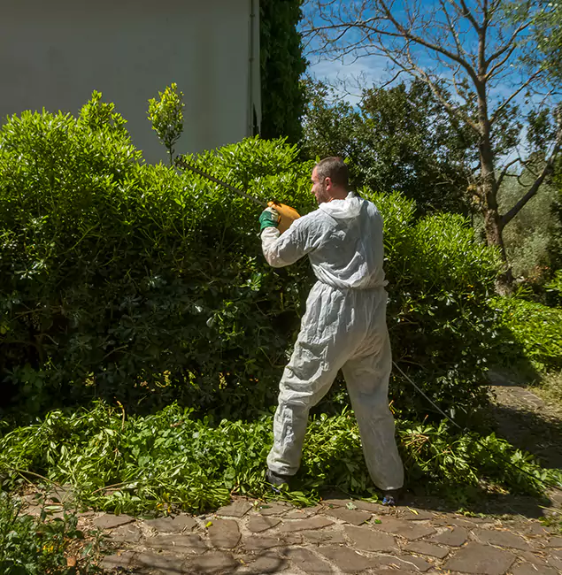 Why Marietta Pest Control Inc Leads Mosquito Control in Marietta, GA?