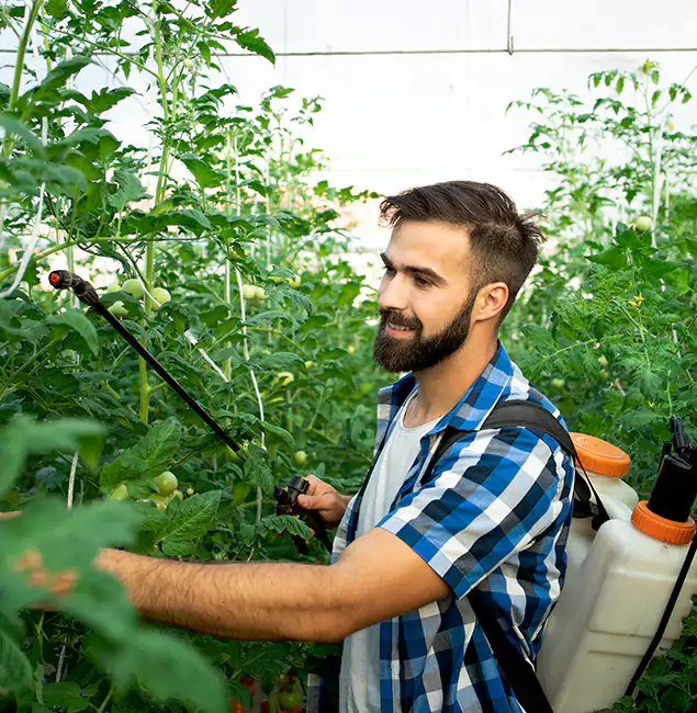 Why Marietta Homeowners Choose Marietta Pest Control Inc for Mosquito Spraying?