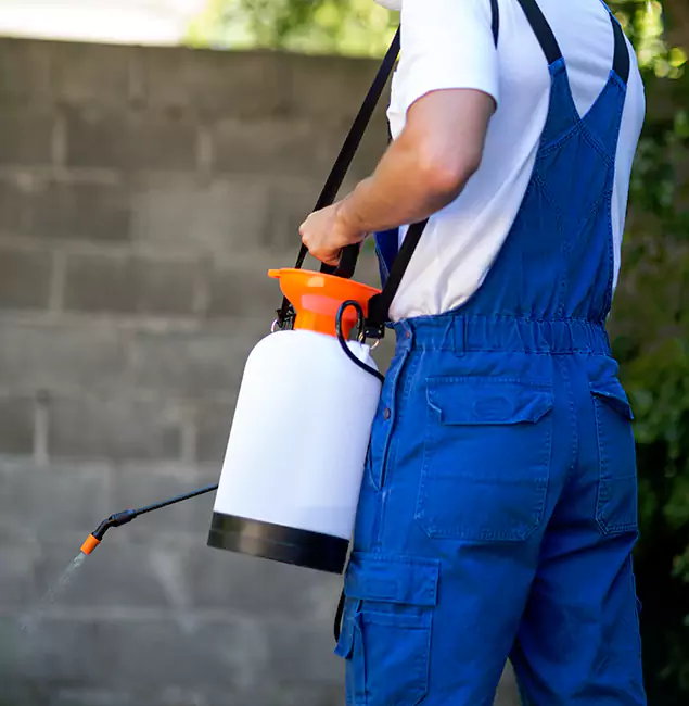 Why Marietta Pest Control Inc Delivers the Best Mosquito Control in Marietta, GA?