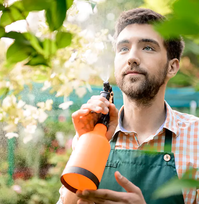 Why Marietta Homeowners Call Marietta Pest Control Inc for Mosquitoes in House?