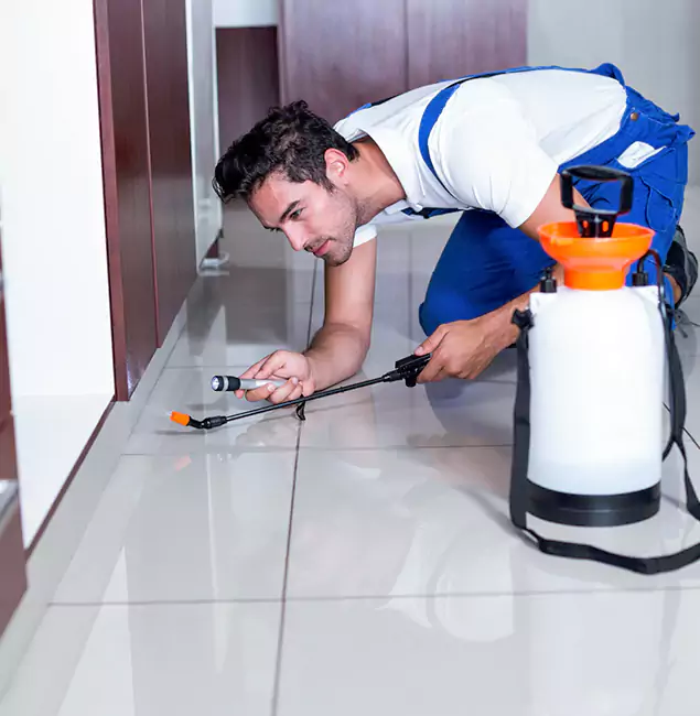 Why Marietta Pest Control Inc Is the Proven Choice in Marietta, GA?